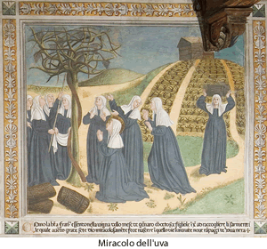 Il miracolo dell'uva